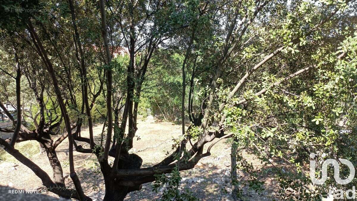 Photo 2 - Terrain à MONTPELLIER