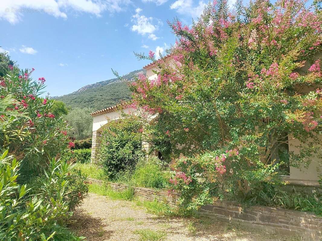 Maison à COLOMBIERES-SUR-ORB