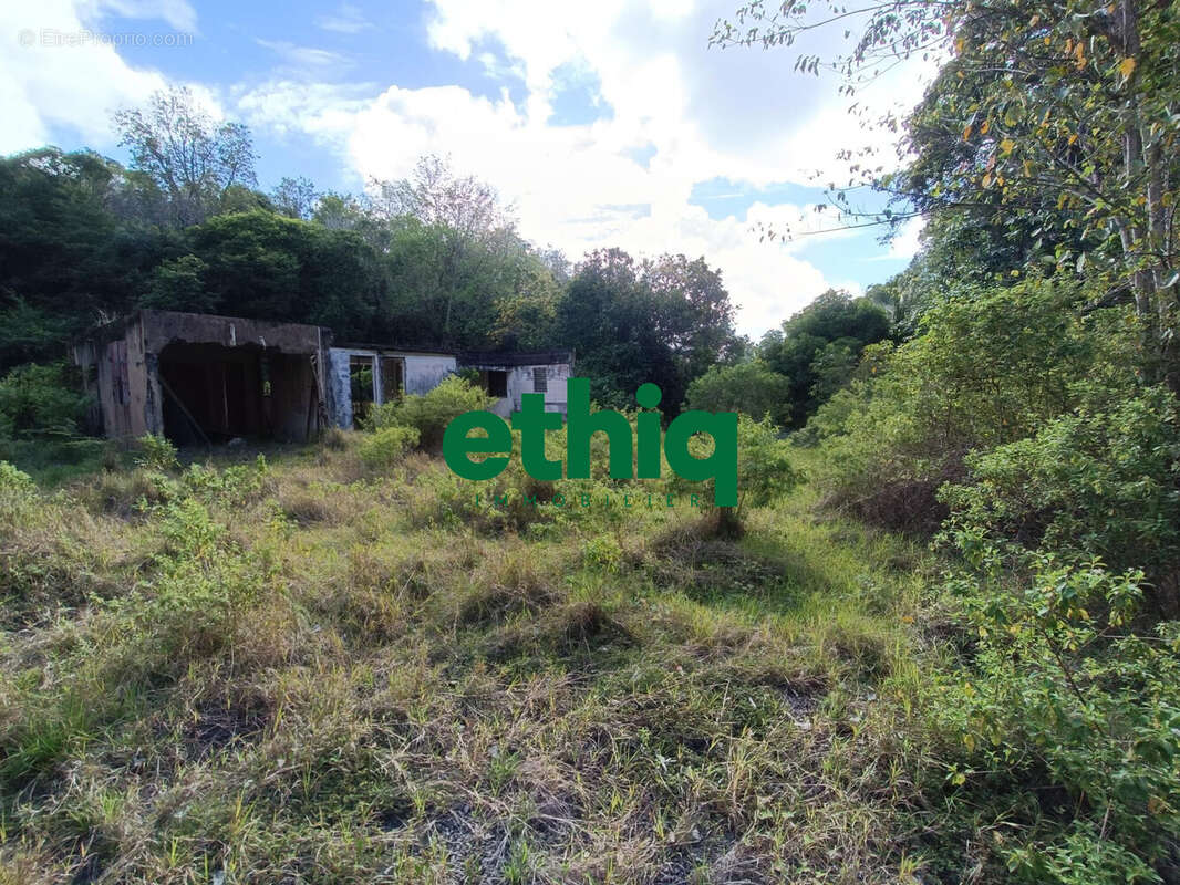 Terrain à SAINTE-ANNE