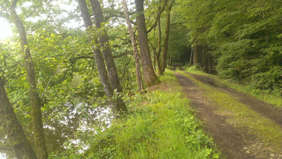 Terrain à PLOMBIERES-LES-BAINS