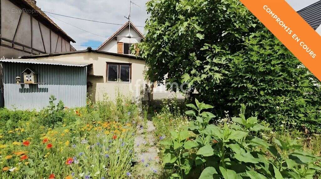 Charmante maison avec jardin et dépendances- Rossfeld - photo 8