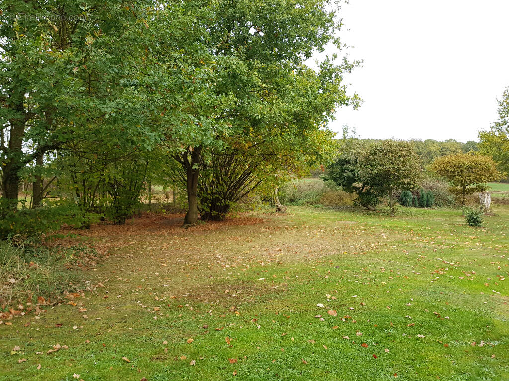 Terrain à VIGNEMONT