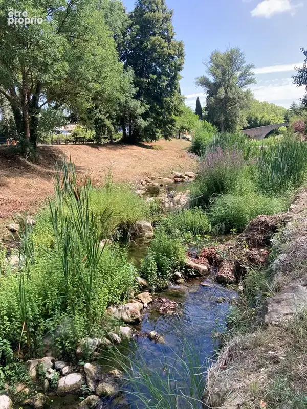 secteur Couiza, maison rénovée avec jardin, 4 chambres, 4 salles d'eau, sejour/salon 80m2, autres pièces et dé - photo 6