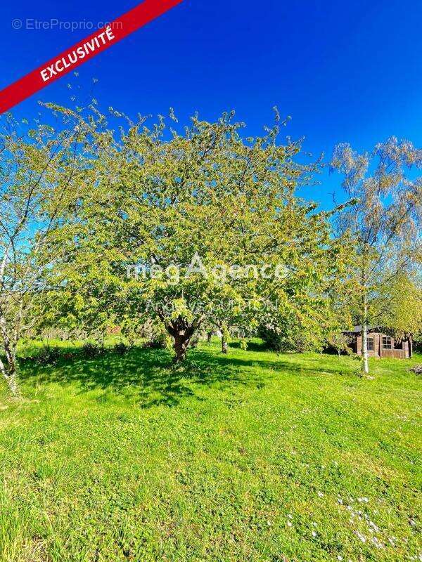 Maison à BEAUMONT-SUR-SARTHE