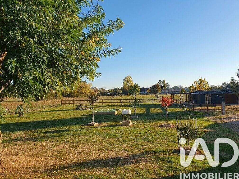 Photo 3 - Maison à LE PIZOU