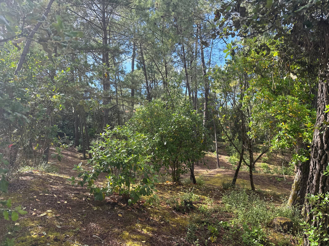Terrain à SAINT-JEAN-DE-MONTS