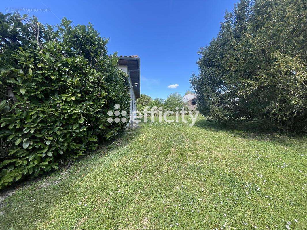 Maison à BLANQUEFORT