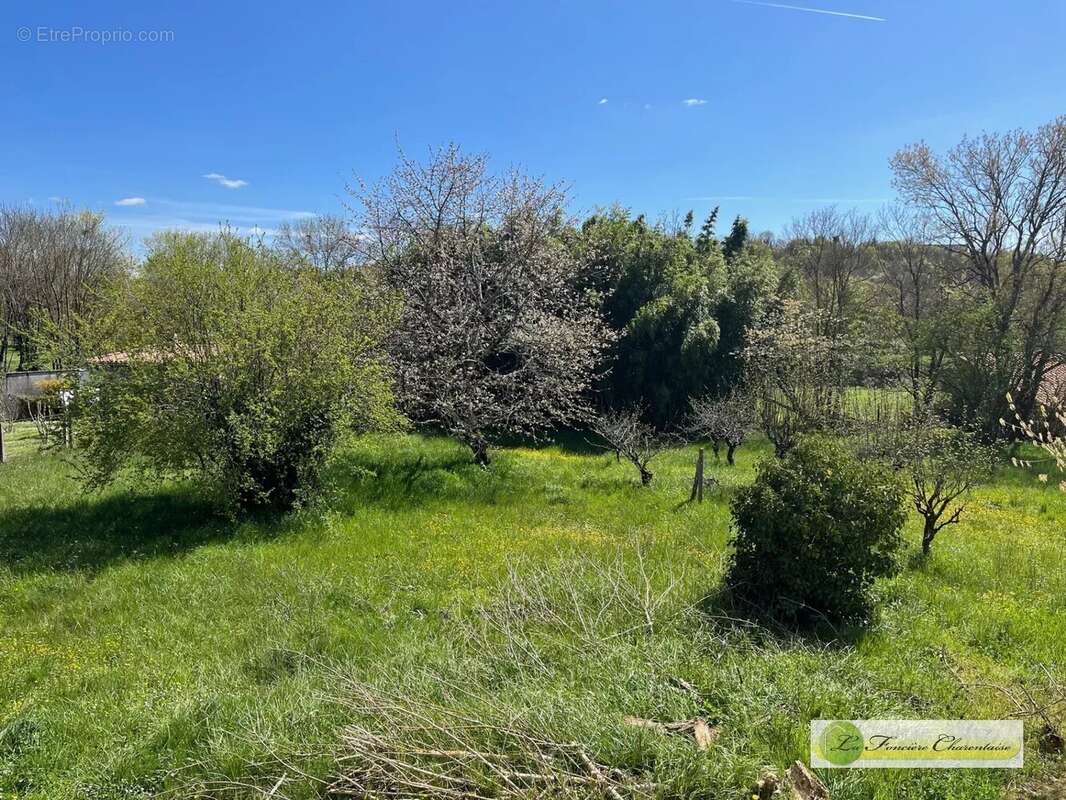 Terrain à RUELLE-SUR-TOUVRE
