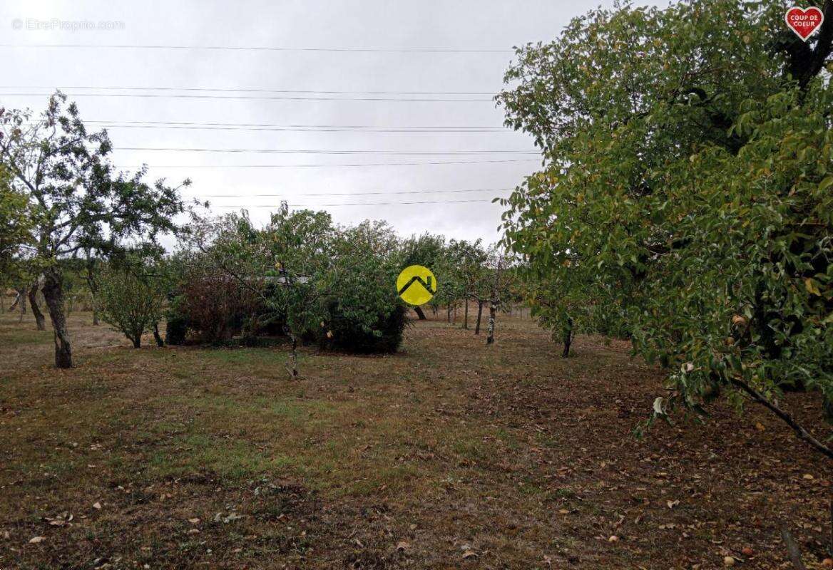 Terrain à ISSOUDUN