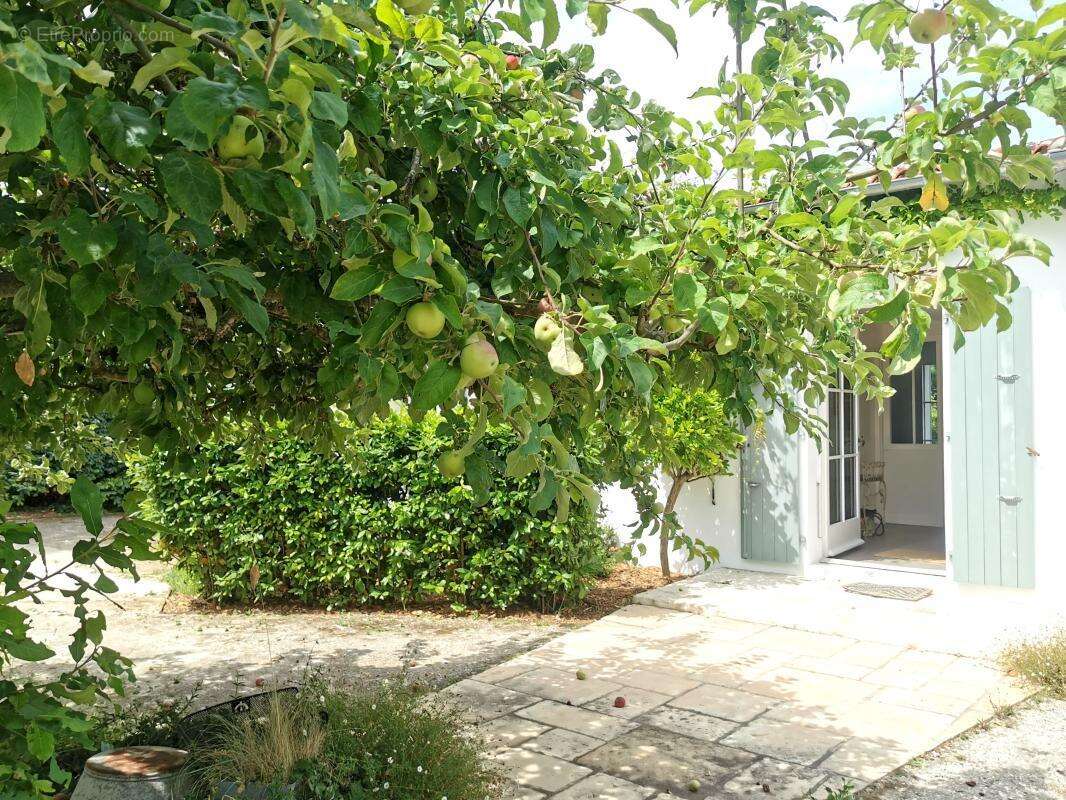 Maison à LES PORTES-EN-RE