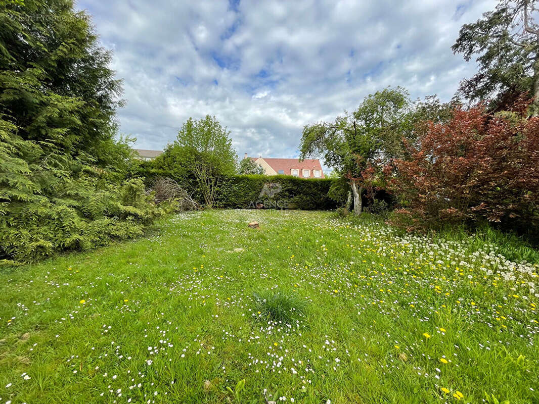 Terrain à SAINT-GERMAIN-EN-LAYE