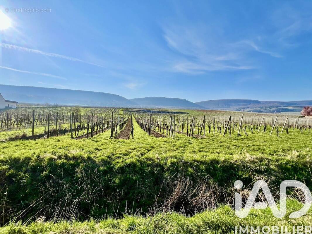 Photo 1 - Terrain à PFAFFENHEIM