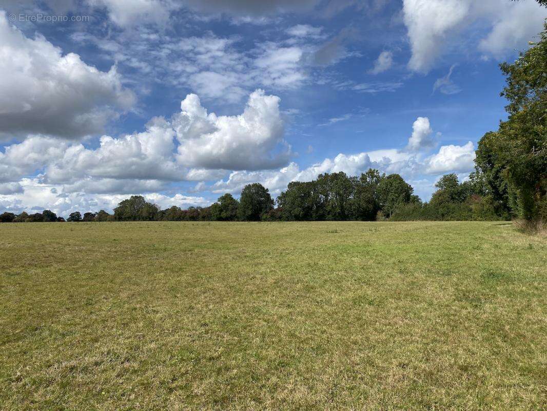 Terrain à bâtir viabilisé – Idéal projet de 3 logements – Vaucelles (proche Bayeux) - photo 5