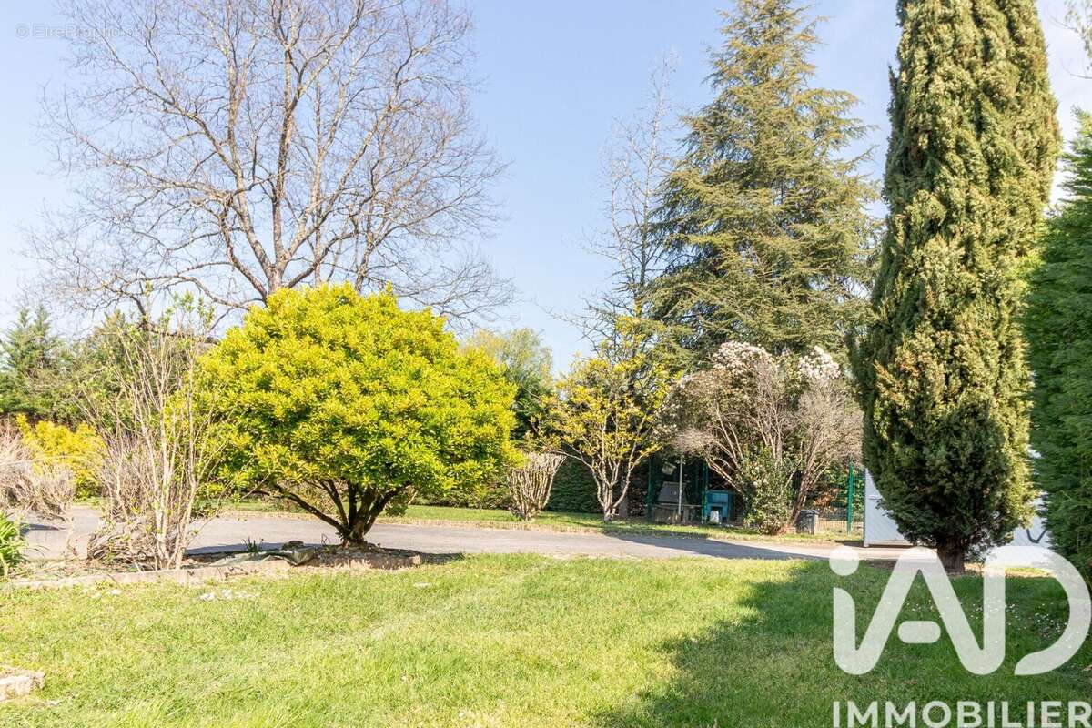 Photo 3 - Maison à MONTAUBAN