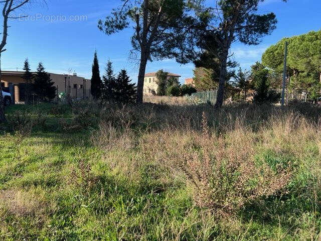 Terrain à MARSEILLAN