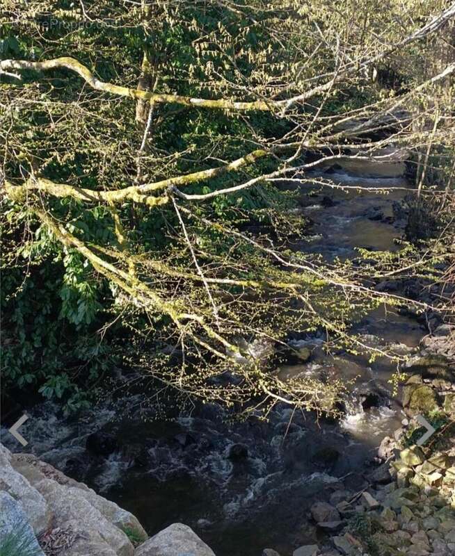 Photo 7 - Maison à LE NEUFBOURG