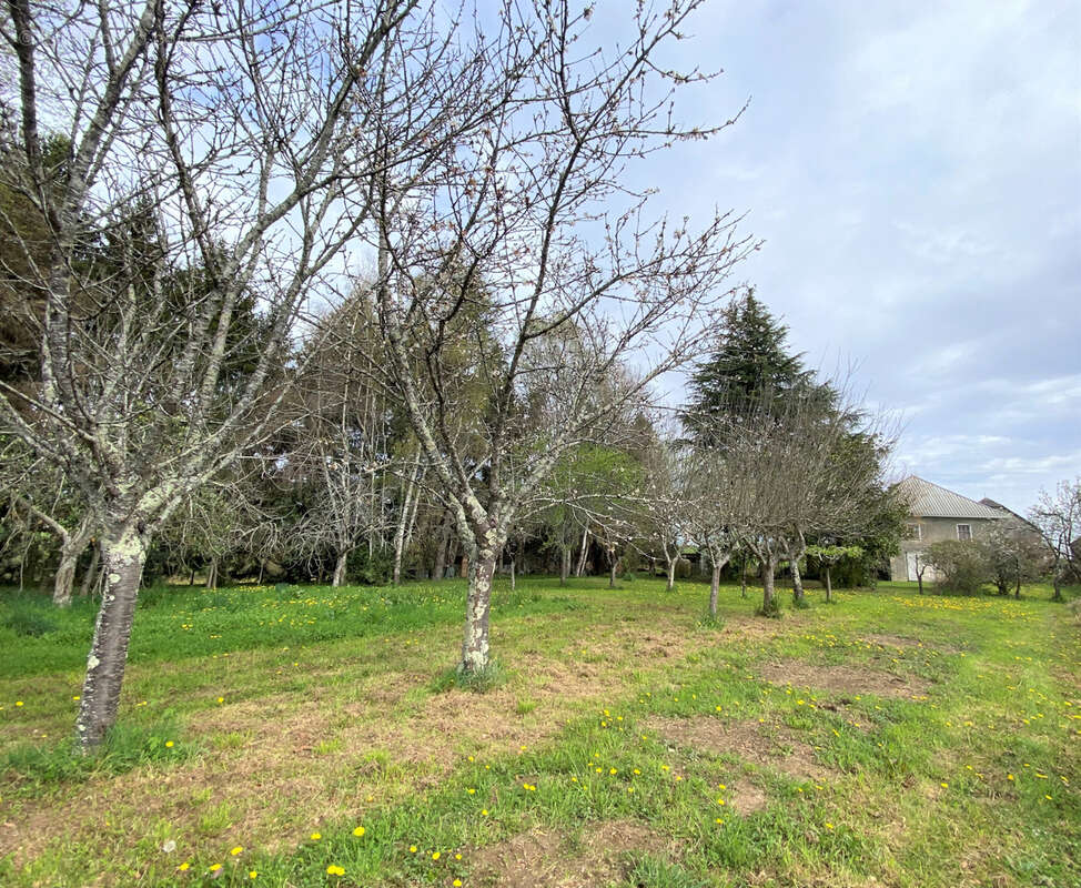 Maison à LUCQ-DE-BEARN