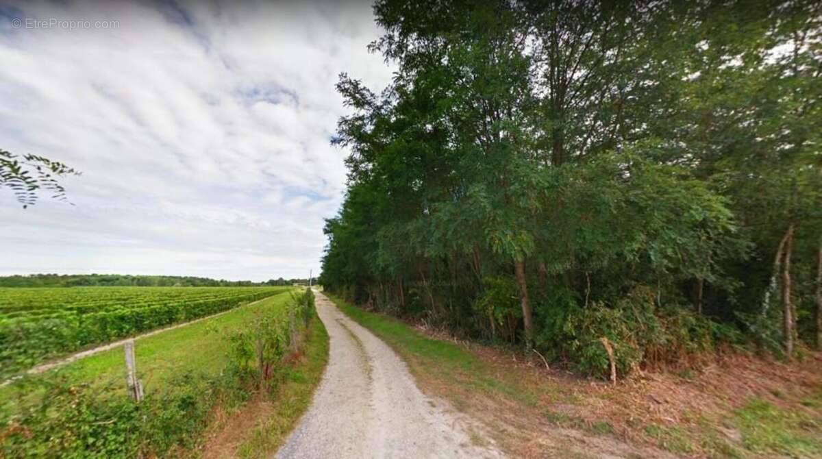 Photo 4 - Terrain à ROAILLAN