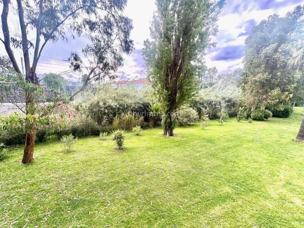 Appartement à VILLENEUVE-LOUBET