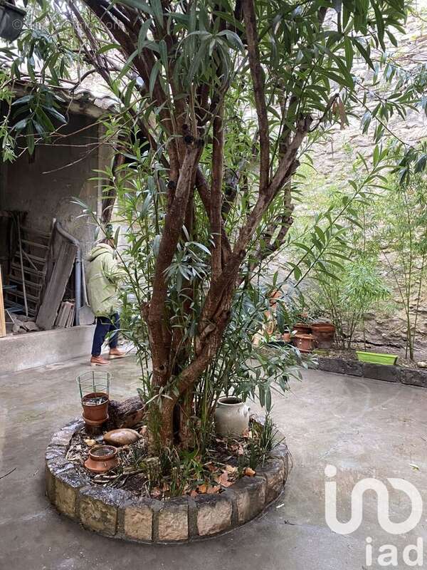 Photo 7 - Appartement à VILLENEUVE-LES-AVIGNON