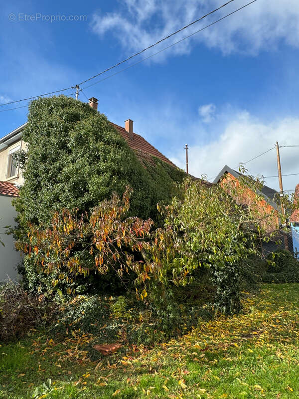 Terrain à ERGERSHEIM