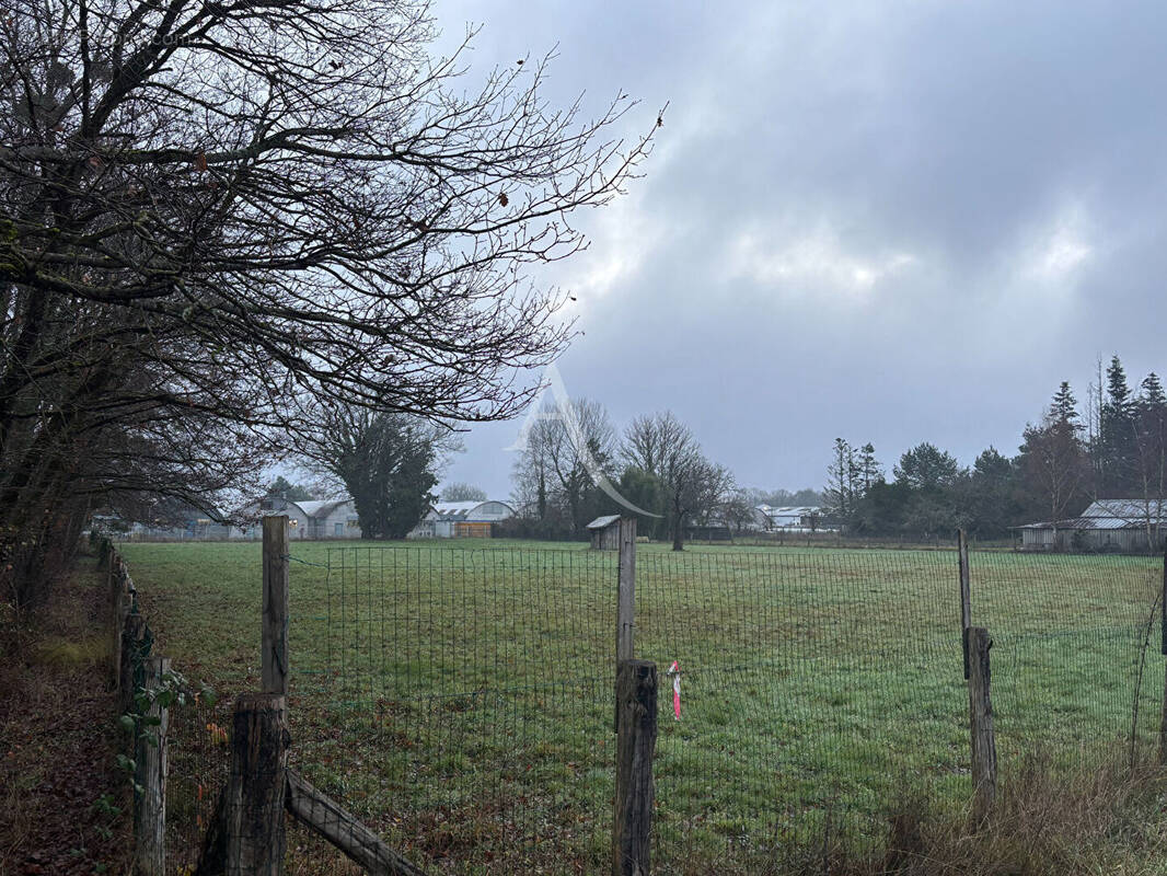 Terrain à NOUAN-LE-FUZELIER