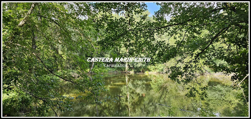 Terrain  2514 m² avec source et plan d'eau 10MN d'Auch  PESSAN (32) - photo 2