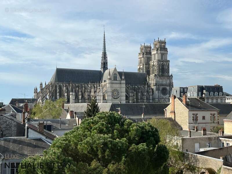 Appartement à ORLEANS