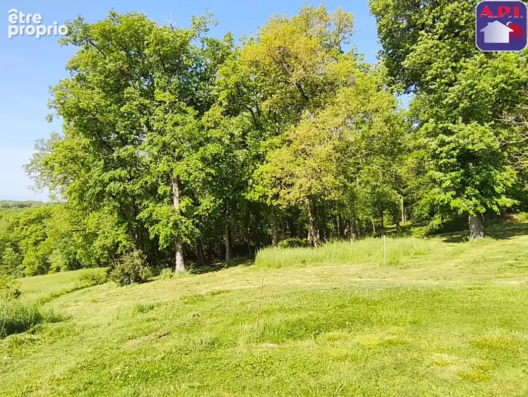 Maison 4 pièces 113 m² à vendre à Castelnau-Picampeau (31430) - photo 11