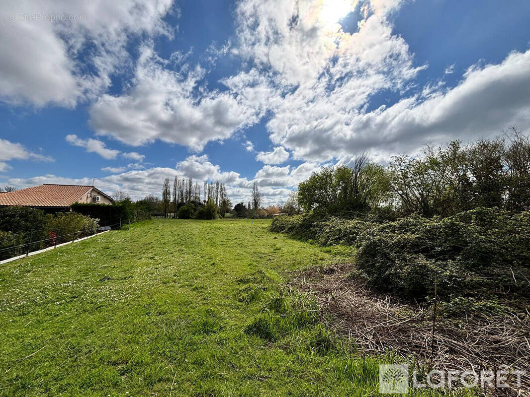 Terrain à SAINT-ANDRE-DE-CUBZAC