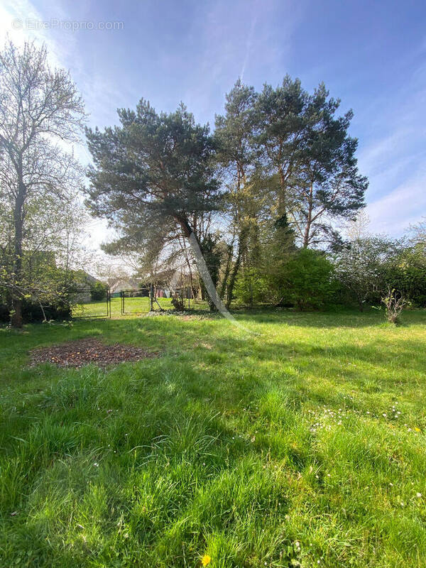 Terrain à DONNERY