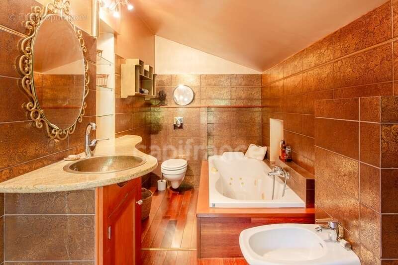 Mas à vendre 15 pièces  523 m2 avec Gîte 14 pers.SAINT SEBASTIEN D'AIGREFEUILLE (30) Terrain + de 7 ha - photo 17