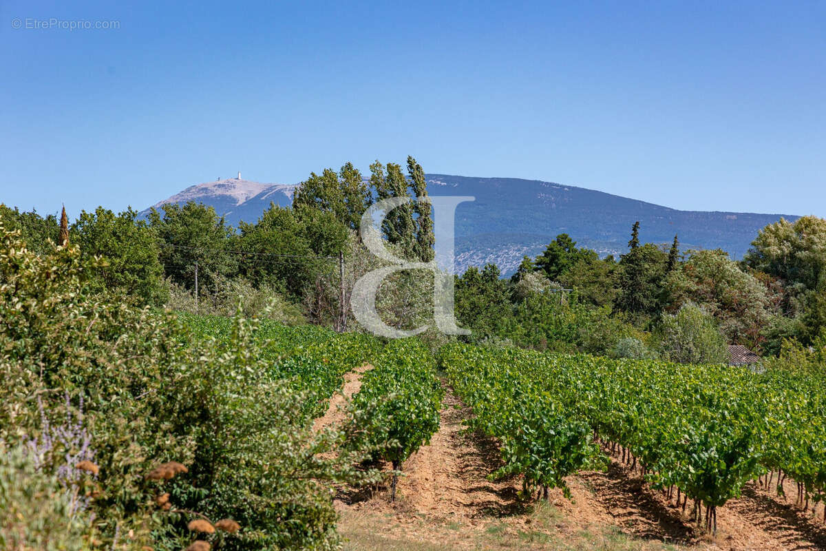 Maison 251 m² à Vaison-La-Romaine  - photo 4
