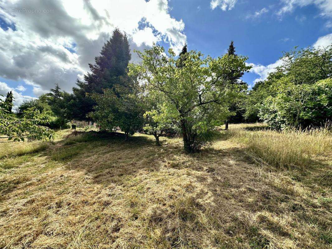 Terrain à VIGOULET-AUZIL