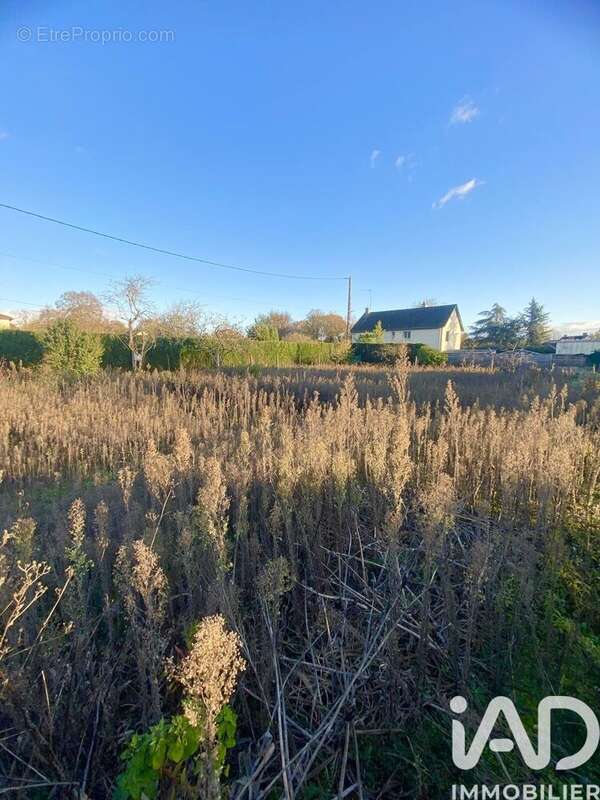 Photo 3 - Terrain à LURY-SUR-ARNON