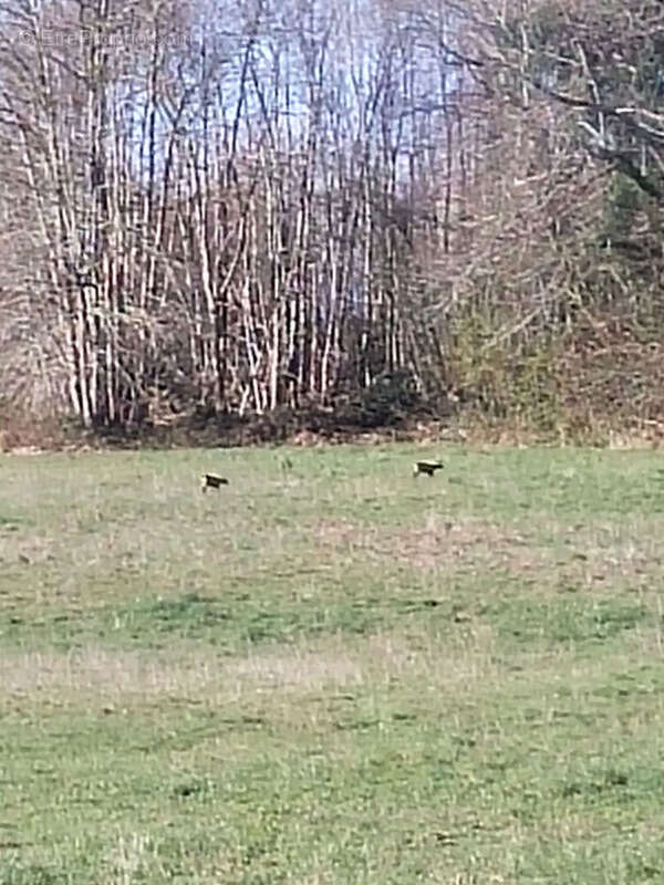 Terrain à AZERABLES