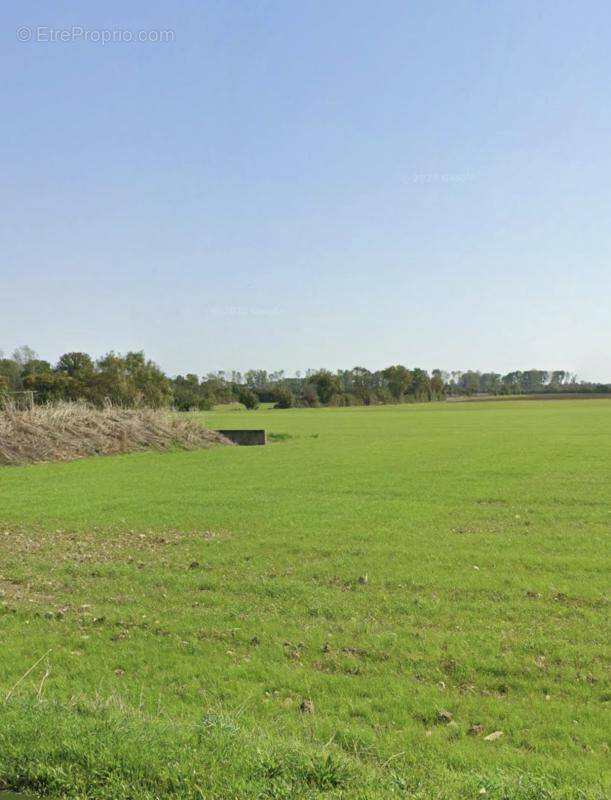 Terrain à ANGLIERS