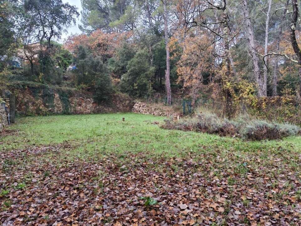 Terrain à LORGUES