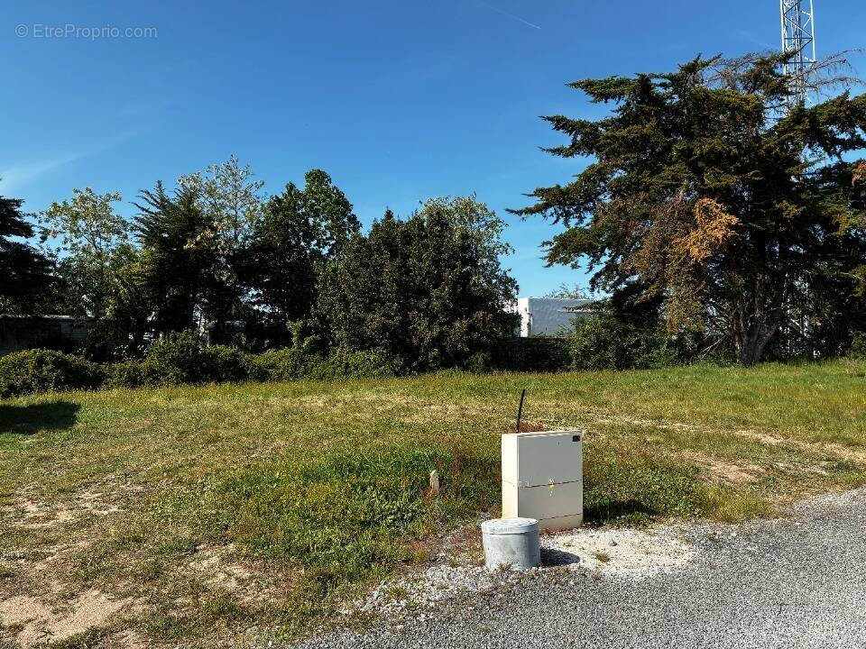Terrain à NOTRE-DAME-DE-RIEZ