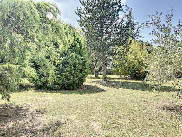 Commerce à SAINT-LAURENT-DES-ARBRES