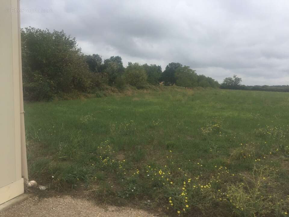 Terrain à LE SEQUESTRE