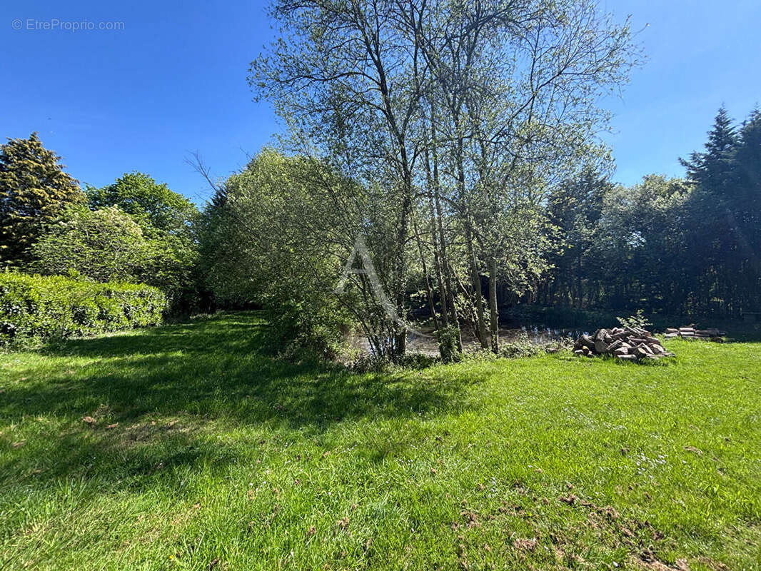 Terrain de loisirs 2310m² - photo 2