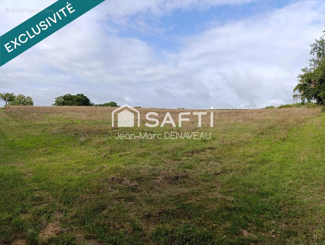 Photo 1 - Terrain à CHINON