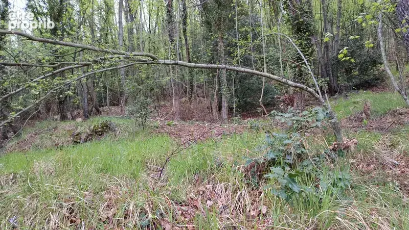 Terrain à vendre de 16 225,00 m² PEILLE (06) - photo 3