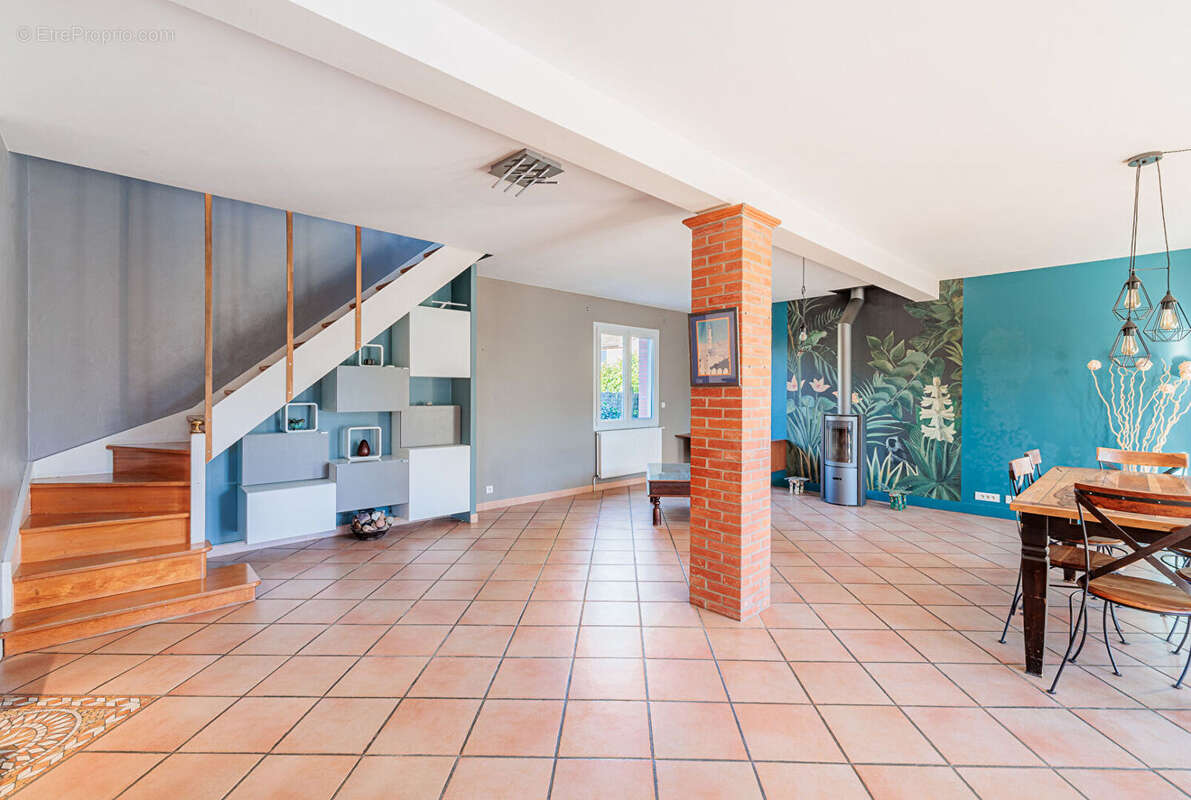 Maison à VILLENEUVE-TOLOSANE