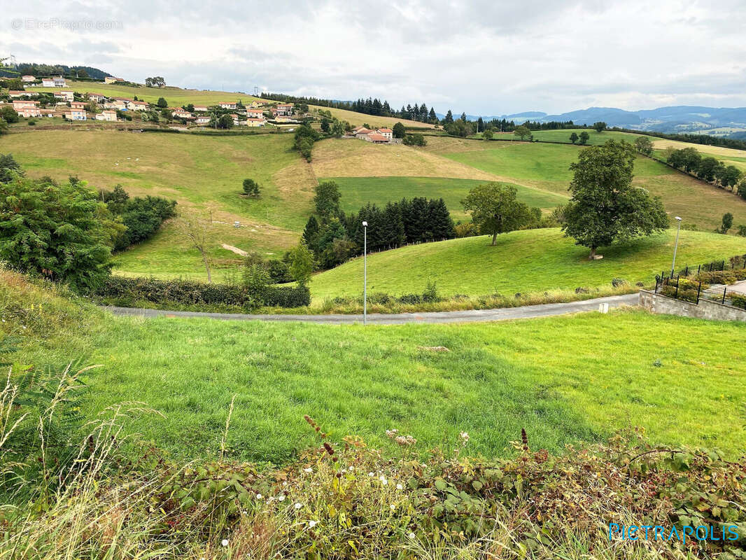 Terrain à AMPLEPUIS