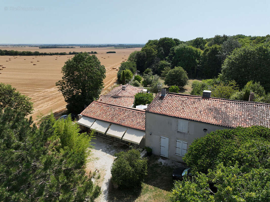 Domaine à la campagne - photo 8