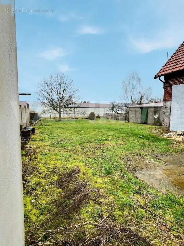 IMG_8058 - Maison à BEAUMETZ-LES-CAMBRAI