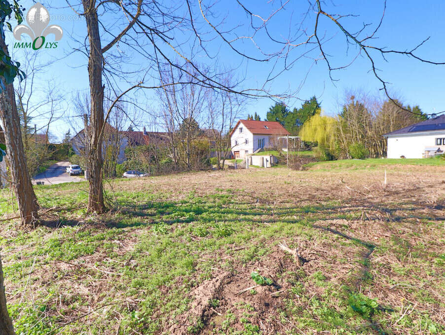 Terrain à AUVILLARS-SUR-SAONE