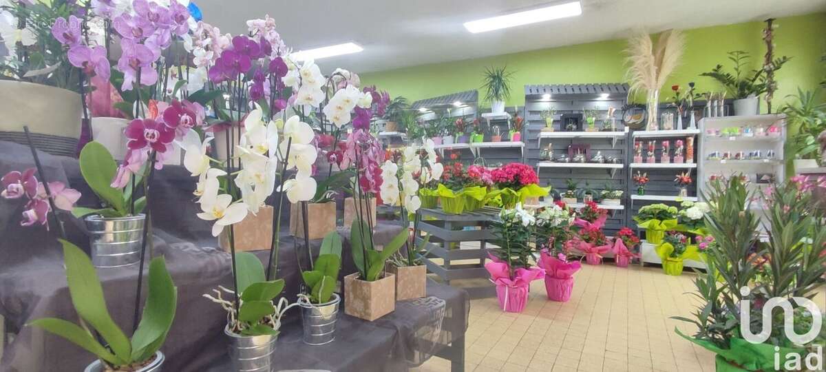 Photo 4 - Commerce à SAINT-PIERRE-D&#039;ALBIGNY